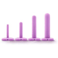 Conjunto 4 Dilatadores Vaginais Wellness Roxo, 100% Silicone  Blush Novelties   