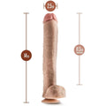 Dildo Dr. Skin Michael Branco, 35.5cm Ø6.3cm  Blush Novelties   