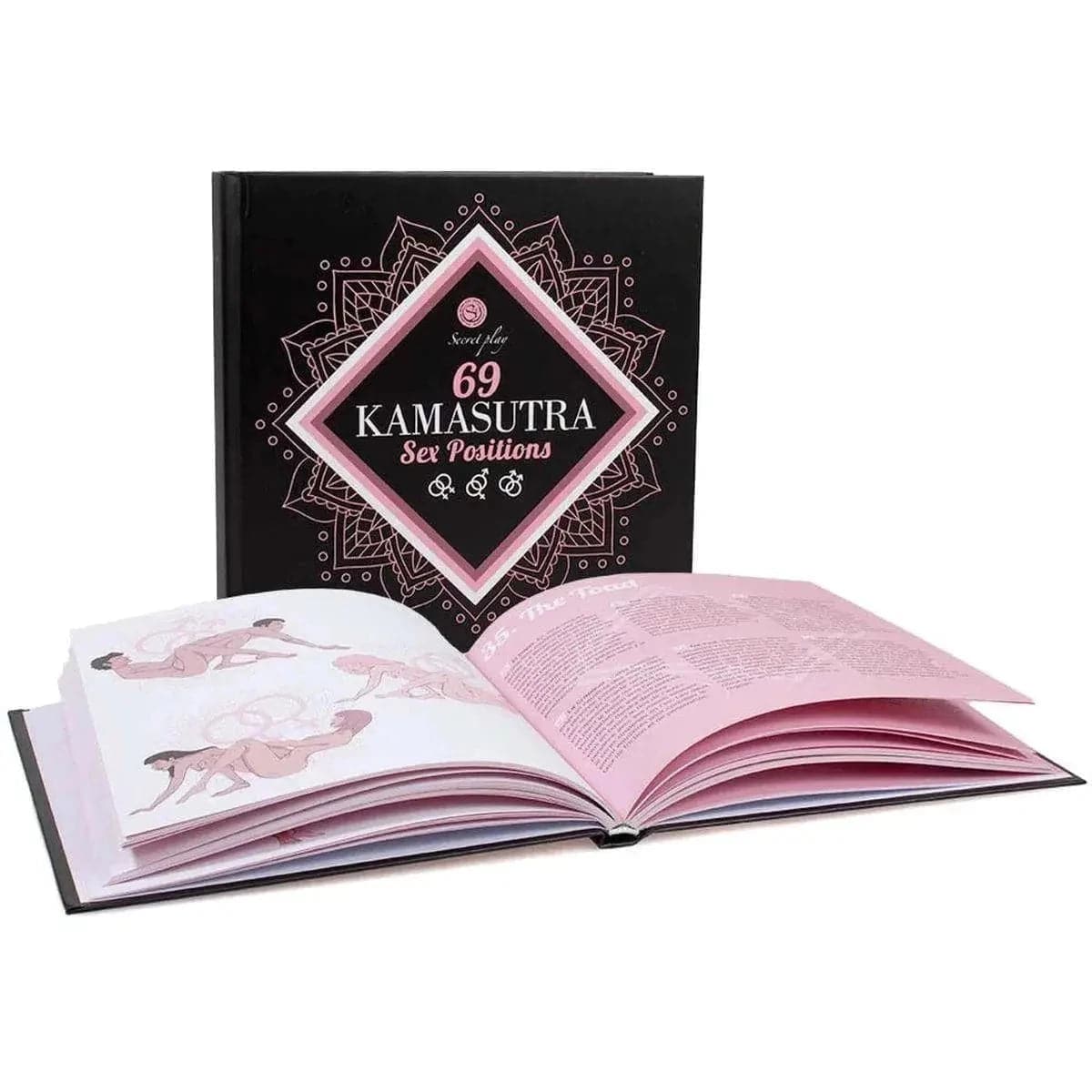 Livro Kamasutra com 69 Posições para Usar e Gozar  Secret-Play   